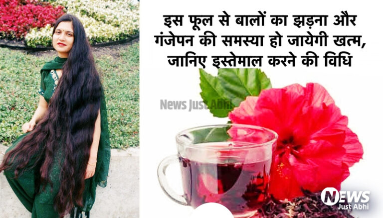 इस चमत्कारी फूल से बालों का झड़ना और गंजेपन की समस्या हो जाएगी खत्म, जानिए इसे इस्तेमाल करने का सही तरीका ☉