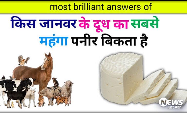 दुनिया का सबसे महंगा पनीर किस जानवर के दूध से बनता है? जानकर चौंक जाएंगे ⤙