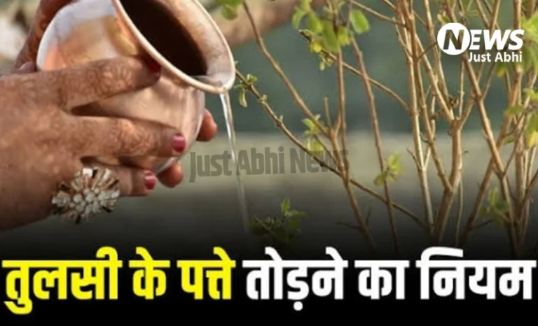 रात के समय तुलसी क्यों नहीं तोड़नी चाहिए, जानें क्या कहता है शास्त्र, भगवान श्रीकृष्ण से भी है इसका सम्बन्ध ​ι