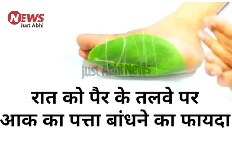 रात को पैर के तलवे पर बांध लीजिये ये पत्ता सुबह होने पर जो होगा चमत्कार देख नहीं कर पाएंगे यकीन रात को पैर के तलवे पर बांध लीजिये ये पत्ता सुबह होने पर जो होगा चमत्कार देख नहीं कर पाएंगे यकीन 