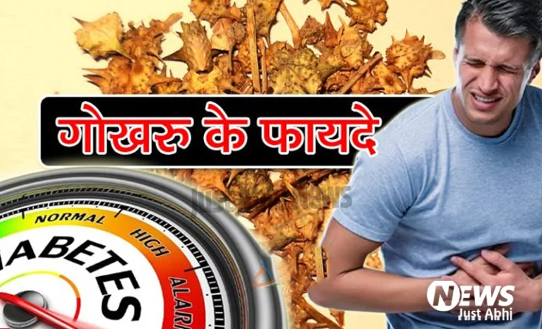 गोखरू के सेवन करने से पुरुषों को मिलते हैं यह फायदे.. जानिये गोखरू के फायदे ☉