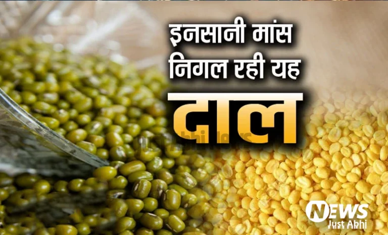 मांसाहारी है यह दाल, खाने के बाद इनसान के अंदरूनी मांस को चबाती है ऐसे Moong Dal मांसाहारी है यह दाल, खाने के बाद इनसान के अंदरूनी मांस को चबाती है ऐसे Moong Dal 