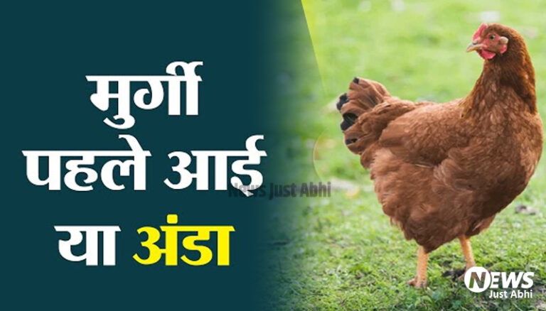 मिल गया जवाब: पहले मुर्गी आई या अंडा, इस सवाल का पक्का जवाब मिल गया 〥 मिल गया जवाब: पहले मुर्गी आई या अंडा, इस सवाल का पक्का जवाब मिल गया 〥