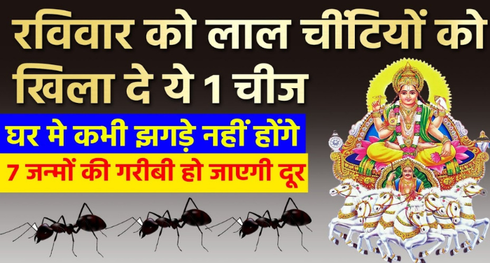 रविवार को लाल चीटीं को खिला दे 1 चीज, घर में कभी झगड़े नहीं होंगे, गरीबी हो जाएगी कोसों दूर. गरीबी दूर करने का उपाय 〥 रविवार को लाल चीटीं को खिला दे 1 चीज, घर में कभी झगड़े नहीं होंगे, गरीबी हो जाएगी कोसों दूर. गरीबी दूर करने का उपाय 〥