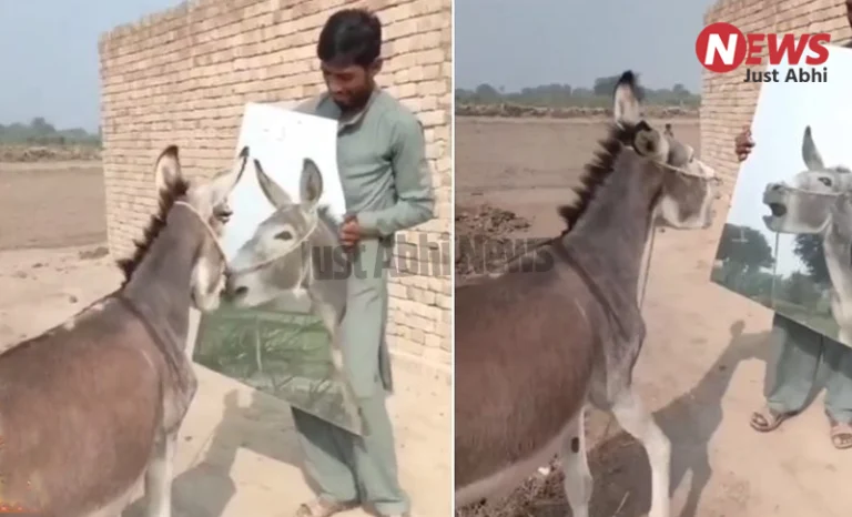 शख्स ने गधे के सामने रख दिया आईना. फिर जो हुआ देख खूब हंसोगे 〥