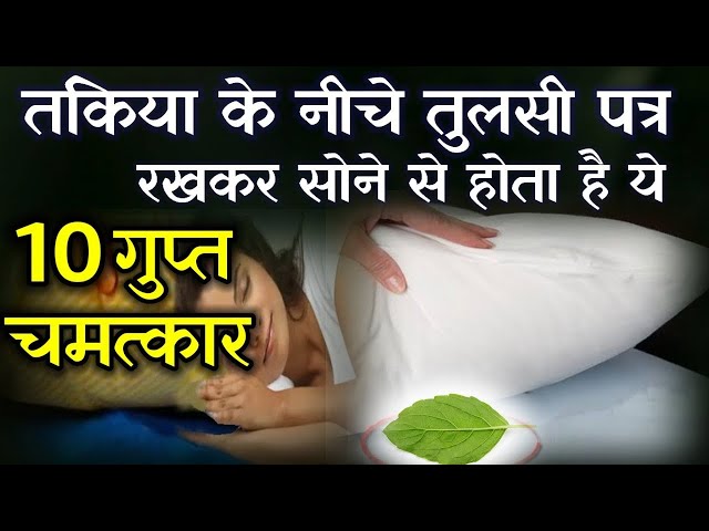 तुलसी के पांच पत्ते तकिये के नीचे रखे फिर देखे आपकी किस्मत कमाल 〥 तुलसी के पांच पत्ते तकिये के नीचे रखे फिर देखे आपकी किस्मत कमाल 〥