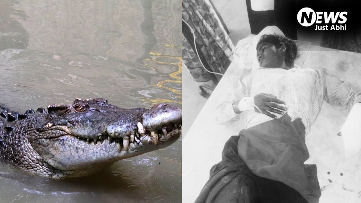 भतीजी के लिए मगरमच्छ पर टूट पड़ीं चाची, जबड़े में दबोचने के बाद भी दरांती से ताबड़तोड़ वार कर ऐसे बचा ली जान​