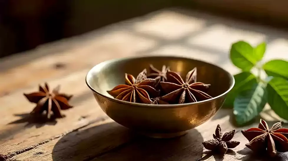 चक्र फूल के चक्कर में फँस कर ये 12 रोग टेकते है अपने घुटने, जरूर जानिये इसके चमत्कारी फायदों के बारे में