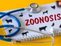 World Zoonoses Day: जानवरों से प्यार करें, लेकिन इन बीमारियों से रहें सावधान! जानें जूनोटिक रोगों के बारे में​