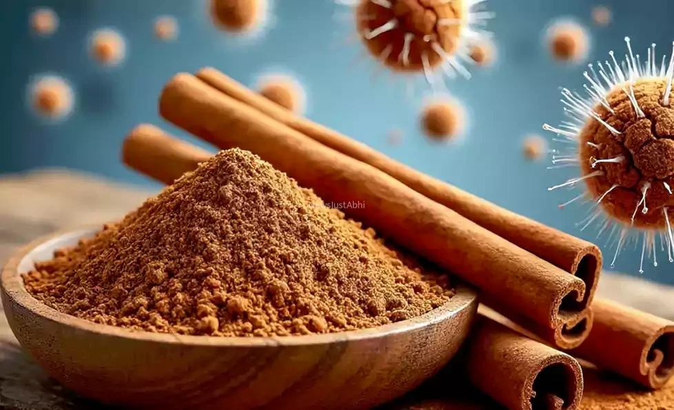 सिर्फ एक महीने तक दालचीनी लेने से कैंसर से पाए आराम, एक बार इस पोस्ट को ज़रूर पढ़ें और शेयर करना ना भूले