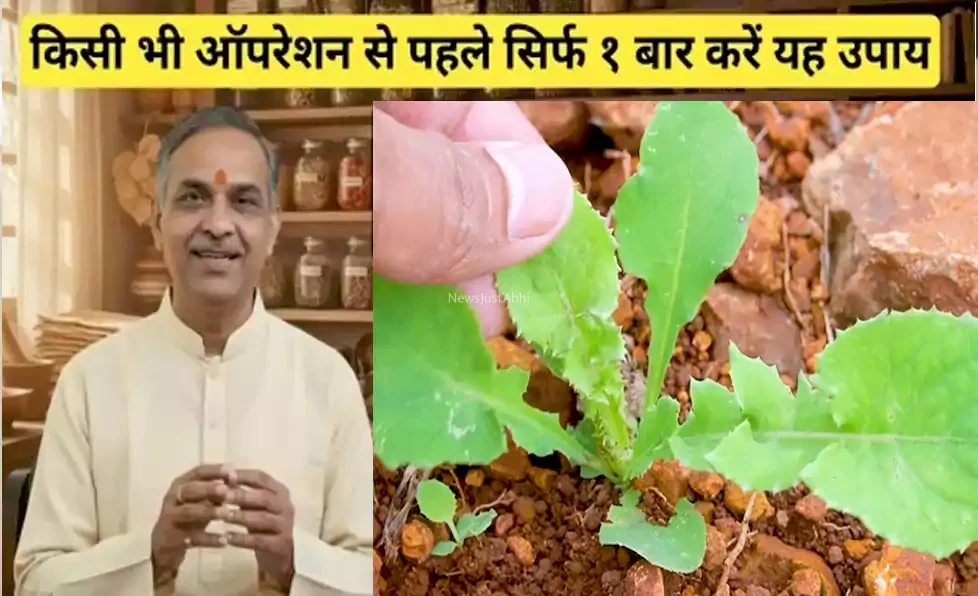 ऑपरेशन से पहले 1 बार करें ये उपाय, चर्वी की गांठें, स्तन की गांठें चुटकी में पिघल जाएगी। सिर्फ़ 11 दिनों में दिखेगा रिजल्ट