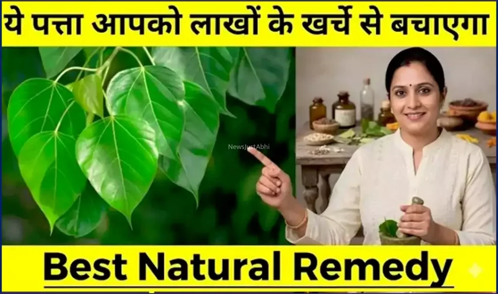 सुबह खाली पेट सिर्फ 1 पत्ता आपको लाखों के खर्चे से बचाएगा. बुढ़ापे तक शरीर मजबूत, निरोगी बना रहेगा​​​