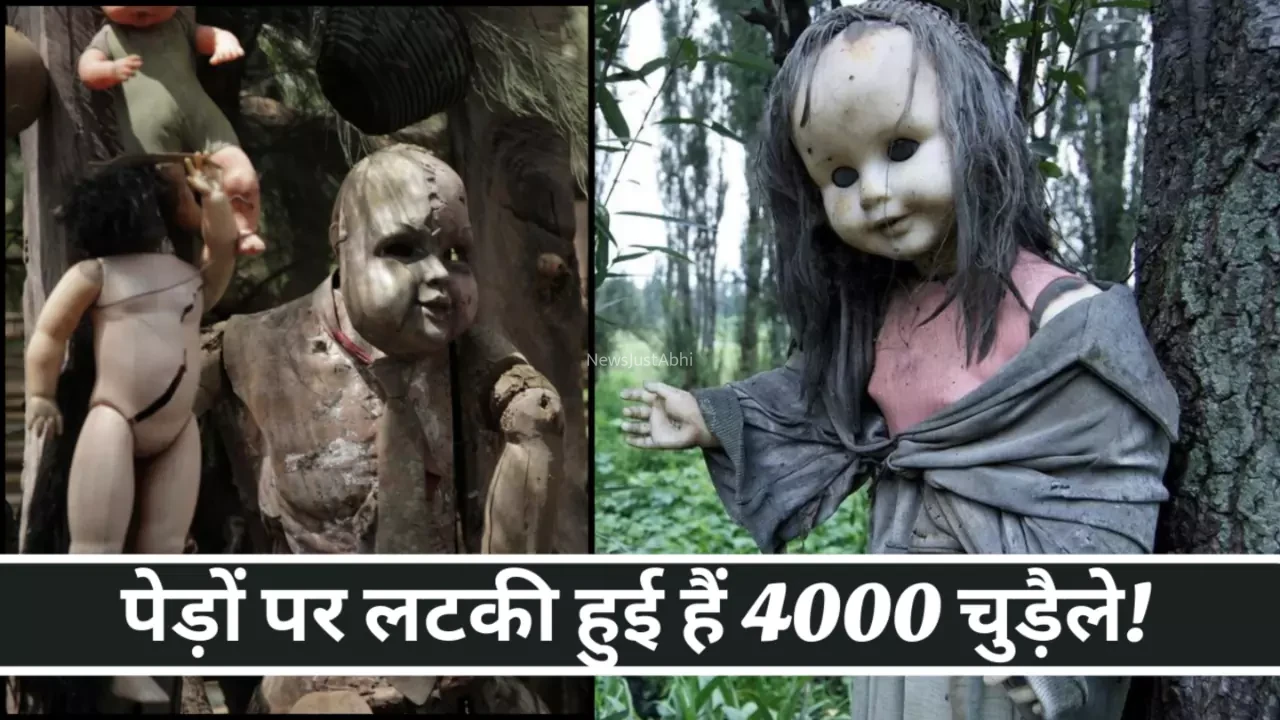 इस आइसलैंड पर पेड़ों पर लटकी हुई हैं 4000 चुड़ैले! पढ़े पूरा रहस्य​​​