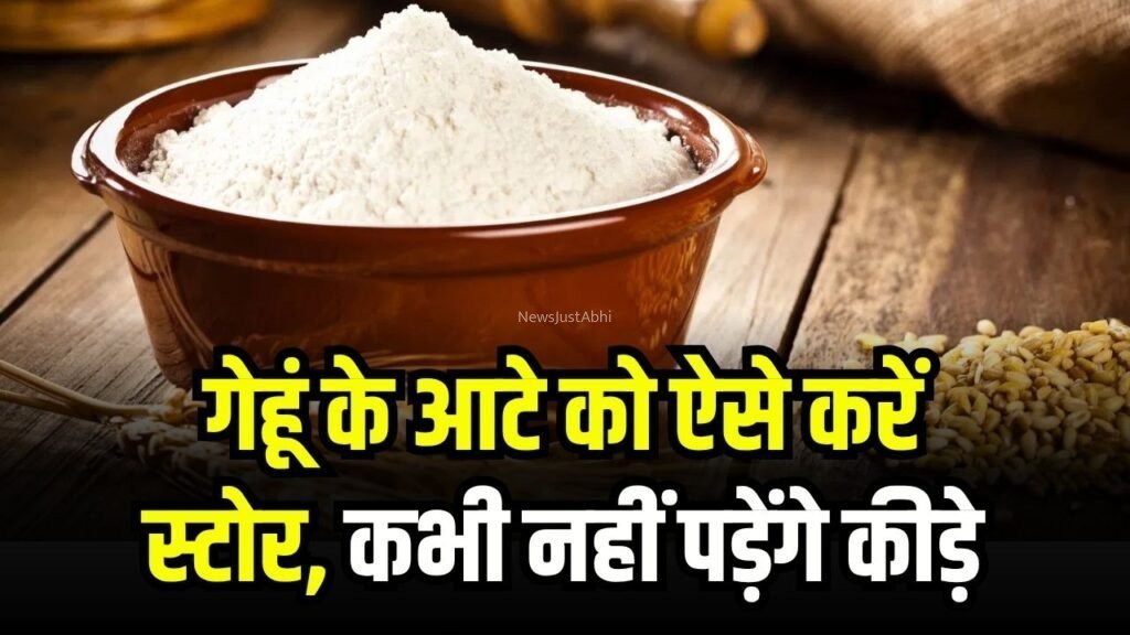 गेहूं का आटा ऐसे करें स्टोर, महीनों तक नहीं पड़ेंगे कीड़े, बड़ी कमाल की है ये ट्रिक​​​