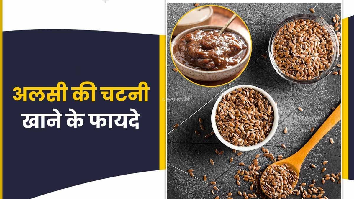 खाइए रोजाना अलसी की चटनी, कोलेस्ट्रॉल को कह दें अलविदा, इतने हैं फायदे इस चटनी के​​​