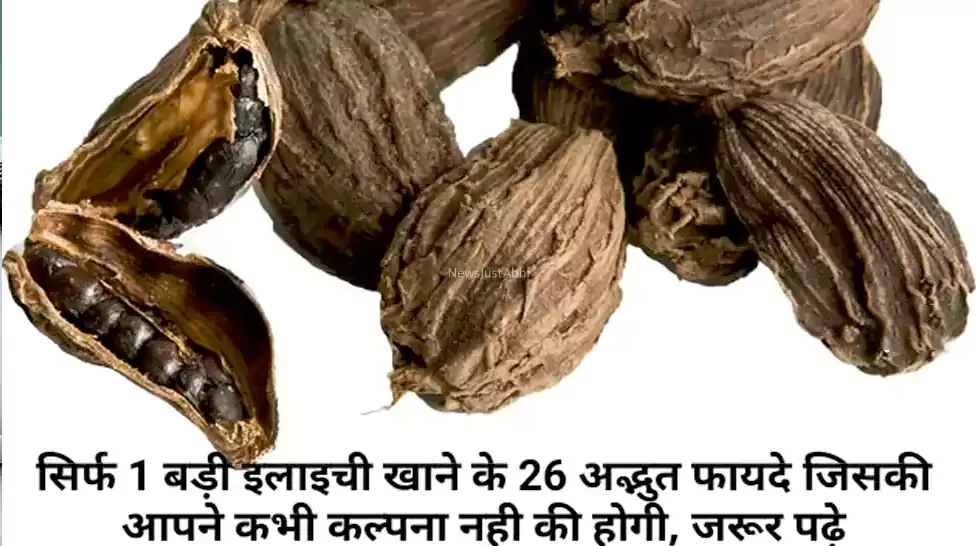 सिर्फ 1 बड़ी इलाइची खाने के 26 अद्भुत फायदे जिसकी आपने कभी कल्पना नही की होगी, जरूर पढ़े और शेयर करे