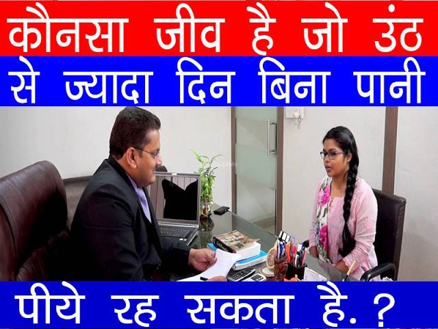 इंटरव्यू में पूछा ऐसा कौन सा जीव है जो ऊँट से भी ज्यादा दिन तक बिना पानी पीये रह सकता है ?