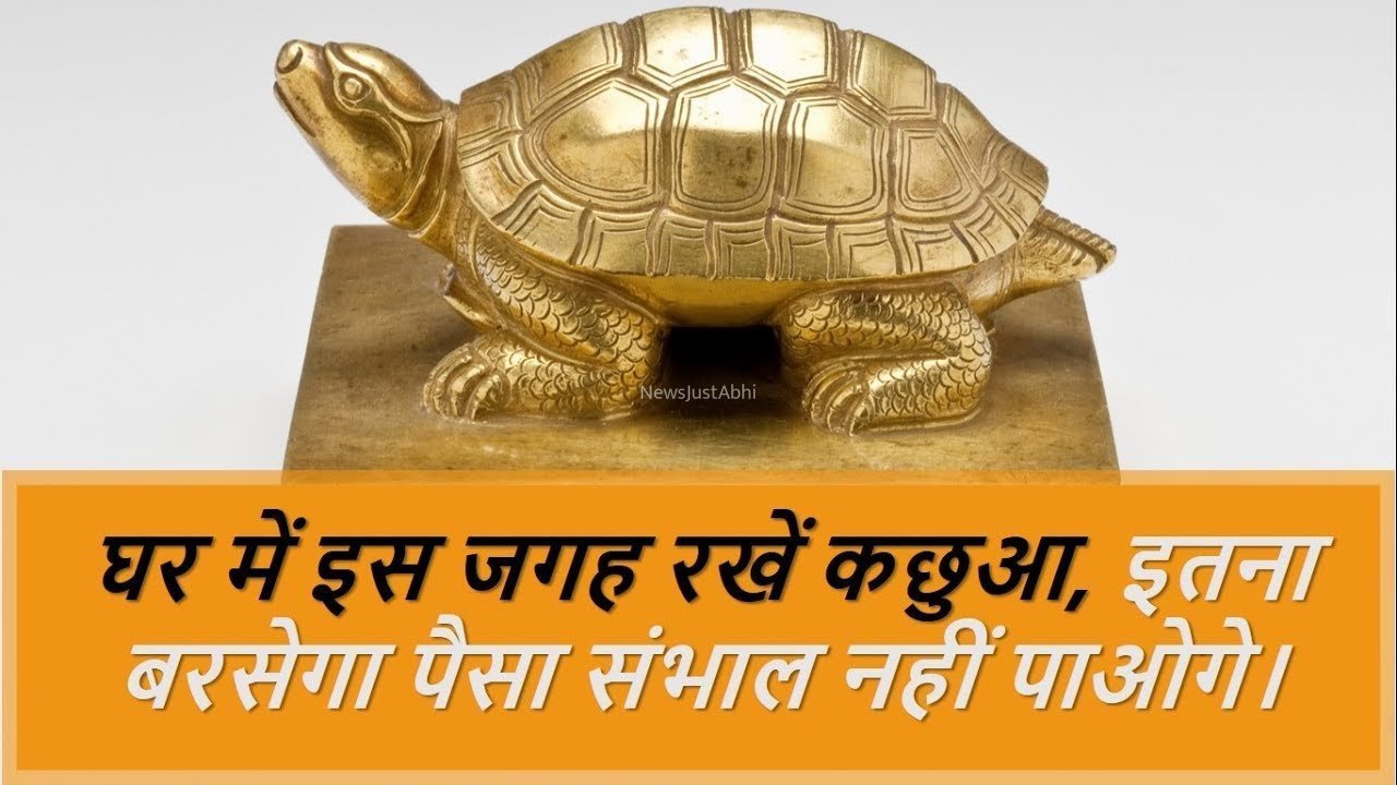 घर में इस जगह रखें कछुआ इतना बरसेगा पैसा संभाल नहीं पाओगे