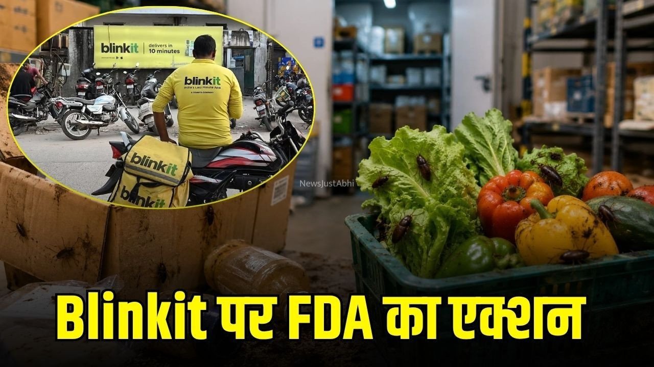 Blinkit License Suspend: ब्लिंकिट का लाइसेंस सस्पेंड, स्टोरेज फैसिलिटी में मिले कॉकरोच और एक्सपायरी प्रोडक्ट्स, FDA का एक्शन