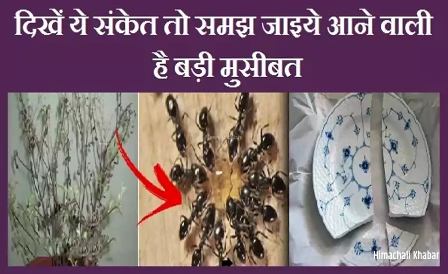 अगर आपको भी दिखें ये संकेत तो समझ जाइये आने वाली है बड़ी मुसीबत, इग्नोर करने की गलती न करें