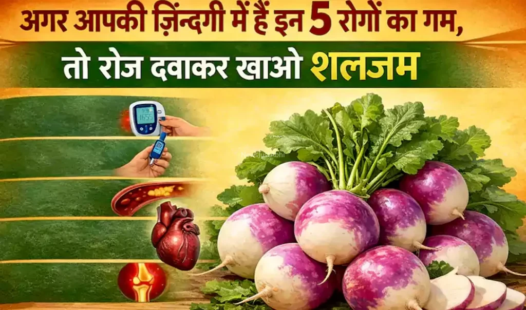 540 himachali khabar