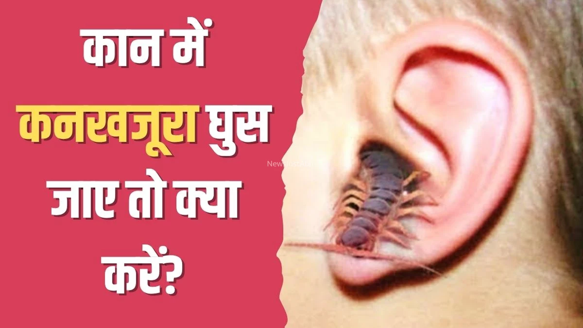 कान में कनखजूरा घुस जाए तो क्या करें? योग गुरु कैलाश बिश्नोई ने बताया इस एक काम को करने पर तुरंत आ जाएगा बाहर​​​