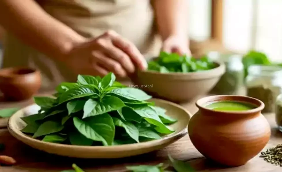कैंसर की गाँठ​​ लिवर की सूजन और पथरी को जड़ से खत्म कर सकता है ये देसी साग। जानें बथुए के जबरदस्त फायदे
