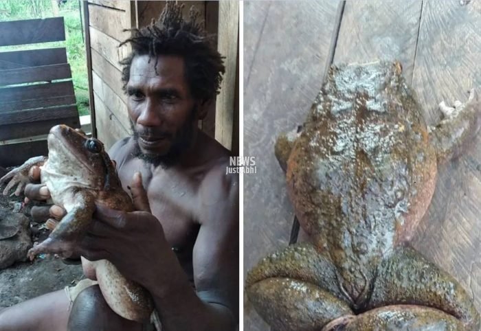 a man carried a big frog
