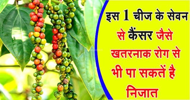 इस एक चीज के सेवन से कैंसर जैसे खतरनाक रोग से भी पा सकते है निजात​​​