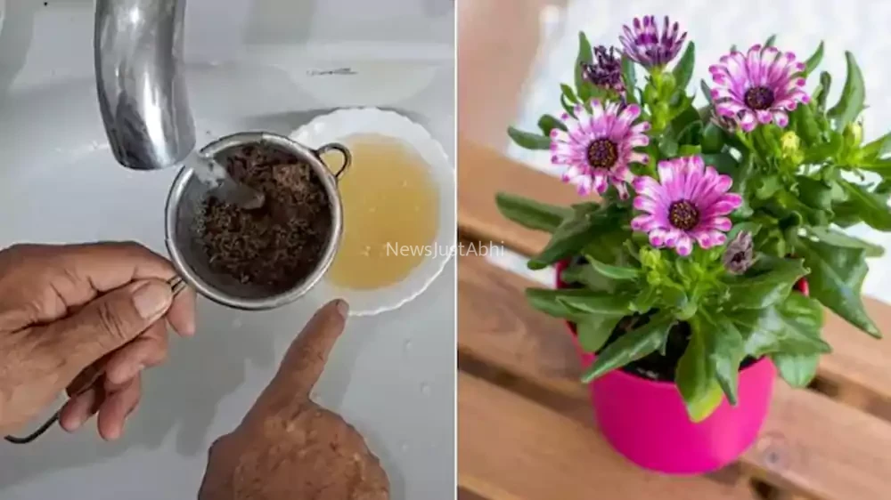 flower