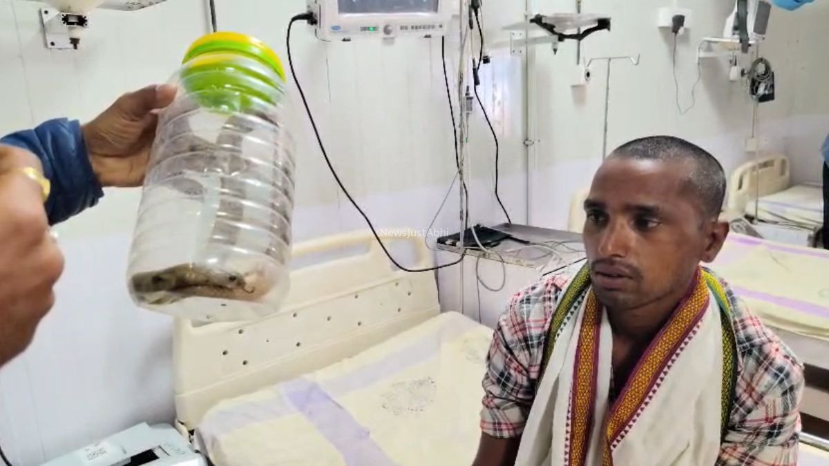 ​​सपने में दूध मांग रहा था सांप, सच में पिलाने पहुंच गया शख्स, सर्प ने काटा तो डिब्बे में लेकर पहुंचा अस्पताल​​​
