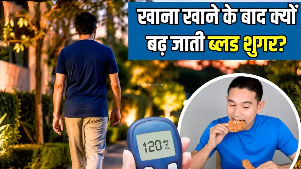खाना खाने के बाद ब्लड शुगर क्यों बढ़ती है? Dinner के बाद अपनाएं बस 10 मिनट की यह आदत, धड़ाम होगा पारा