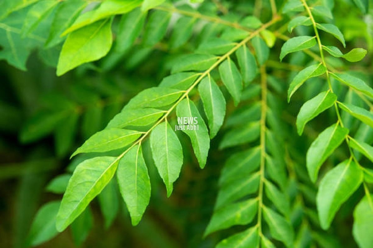 istockphoto-1087510858-612×612-1