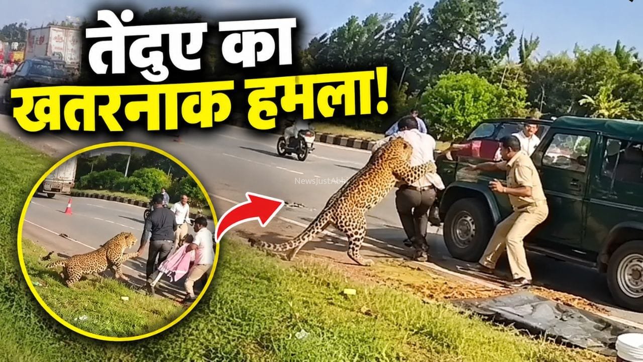 बेहोश समझकर पास​​ गया अफसर,​​ तभी कहर बनकर टूट पड़ा तेंदुआ; देखें रोंगटे खड़े कर देने वाला VIDEO​​