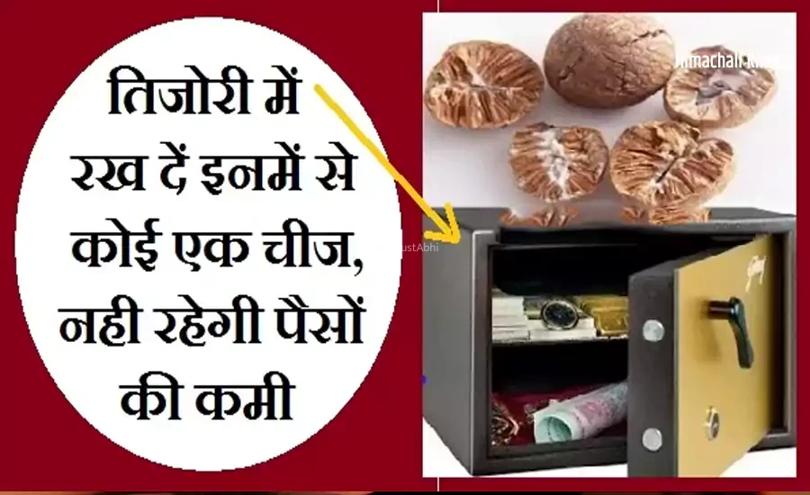 तिजोरी में रख दें इनमें से कोई एक चीज, हमेशा बनी रहेगी धन की बरकत और नहीं होगी पैसों की कमी