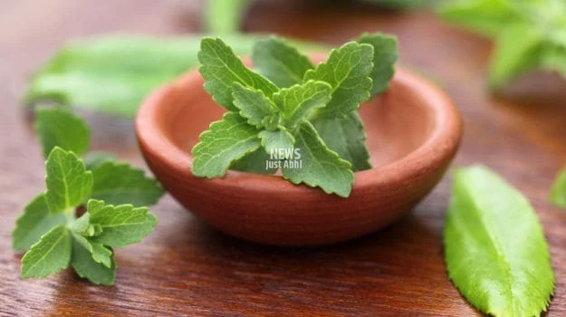 चीनी से लाख गुना ज्यादा फायदेमंद है ये चीज, मिठास के साथ ही सेहत के लिए लाभदायी