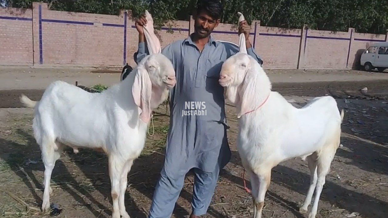 Ajab-Gajab-7