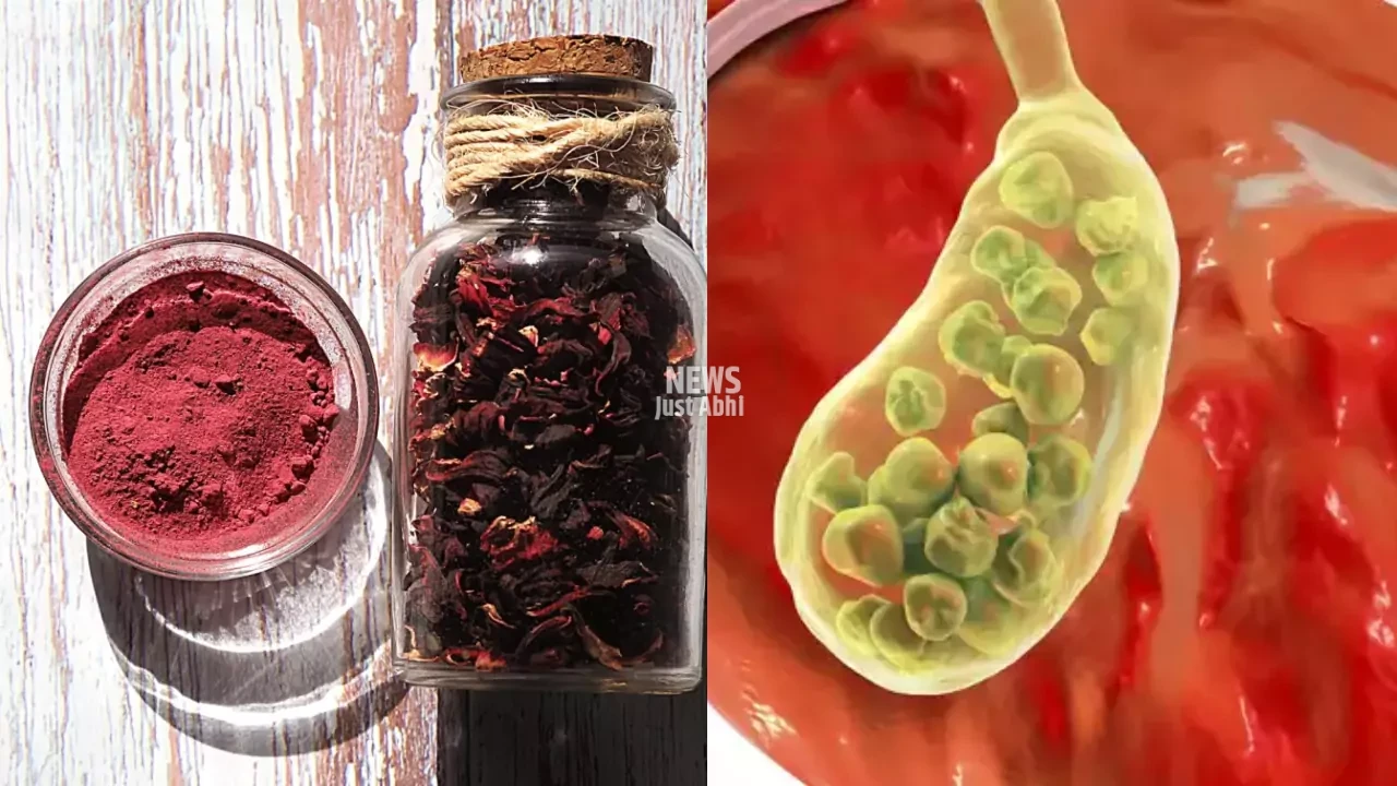 benefits-of-hibiscus-flower-powder-in-stones-673af1960bffb
