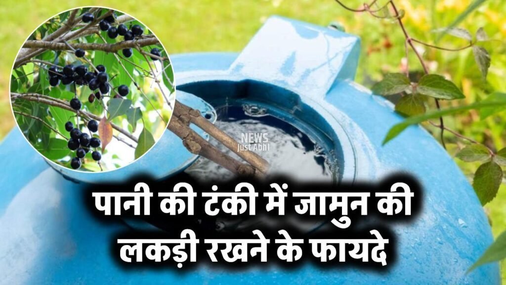 jamun-wood-in-water-tank-cleansing-1024×576