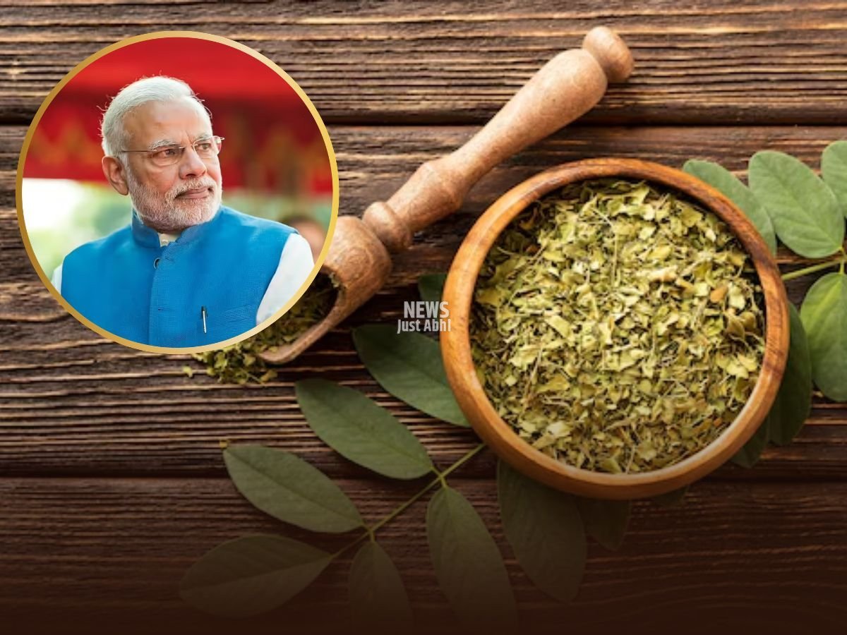 moringa